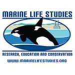 Marine Life Studies