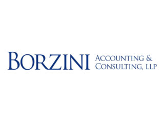 sponsor_borzini_accounting