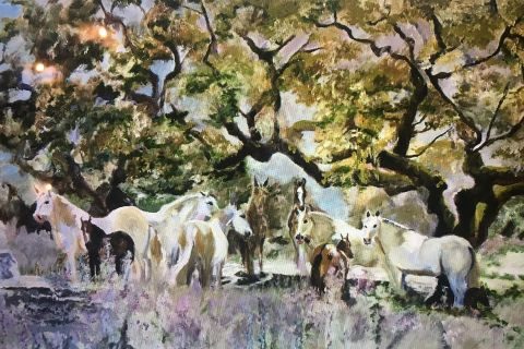 #1a Sandie Glazier-Srigley Image 11