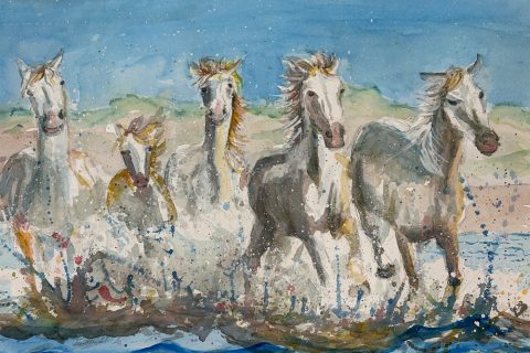 #39a Diane Grindol Horses of the Camargue