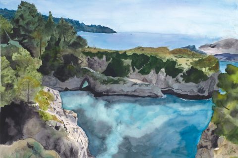 #43a Avery Cadence China Cove Pt. Lobos