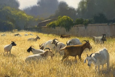 #49 Brian Blood Summer Goats