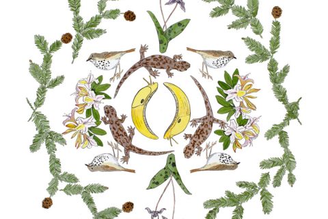 Megan Gnekow “Seven Ravens Studio”